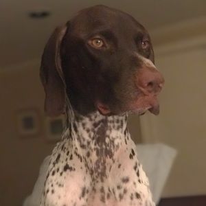 Meet your Posher, Deborah